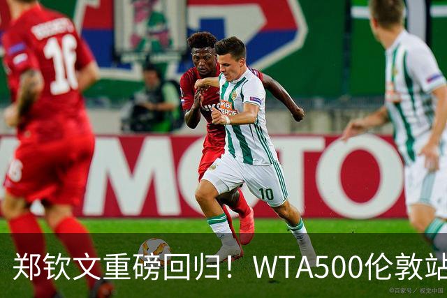 郑钦文重磅回归！WTA500伦敦站正赛，草地赛季火热开启！